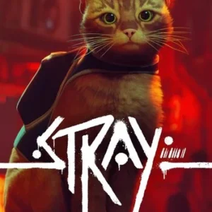 Stray okładka